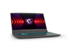 MSI Thin 15 B13VE-2274AU Free Delivery